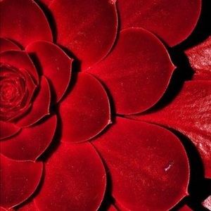 Meet your Posher, Katrina